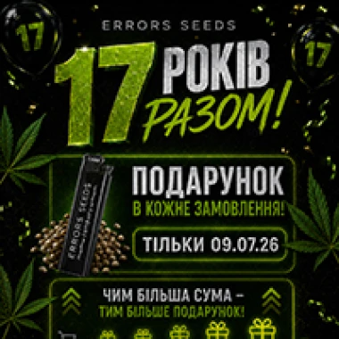 День Рождения Errors Seeds: нам 17 лет!