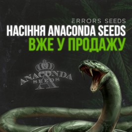 Поступление новых семян от Anaconda Seeds