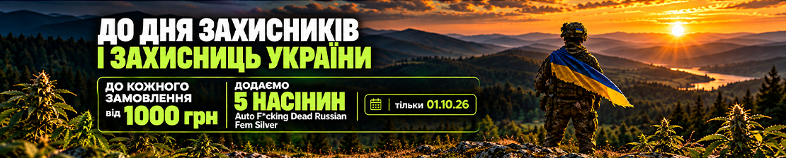 Подробнее