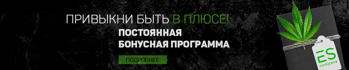 Привыкни быть в плюсе!