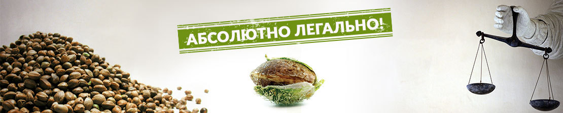 Абсолютно легально!