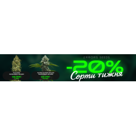 Встречай новые сорта недели с Errors Seeds! 03.08.2026