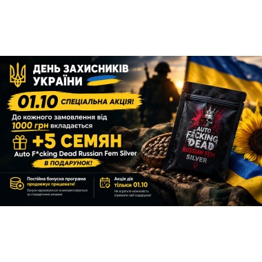 Специальное предложение от Errors Seeds ко Дню защитников и защитниц Украины!