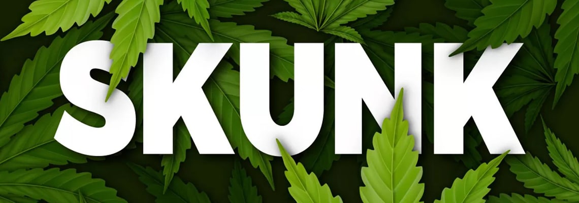 История генетики Skunk