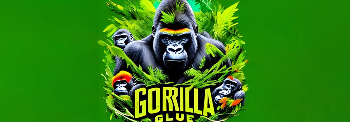 История сорта Gorilla Glue