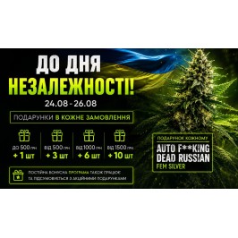 Ко Дню Независимости Украины дарим ещё больше бонусов!