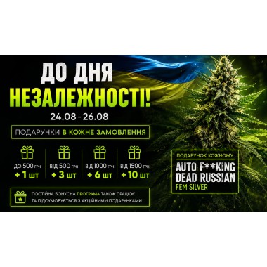 Ко Дню Независимости Украины дарим ещё больше бонусов!