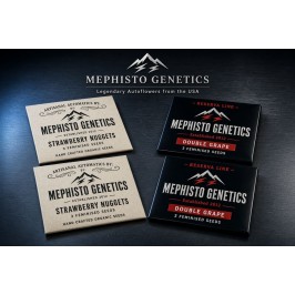 Довгоочікуване поповнення від Mephisto Genetics! Американська генетика в наявності