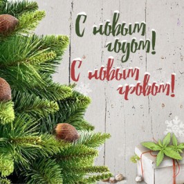 С Новым годом! С новым гровом!