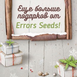 Еще больше подарков от Errors Seeds!