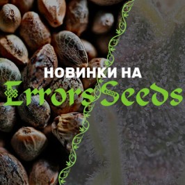 Новинки в магазине Errors-Seeds