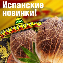 Испанские новинки!