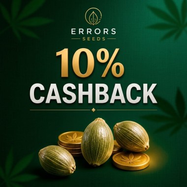Программа лояльности Errors Seeds