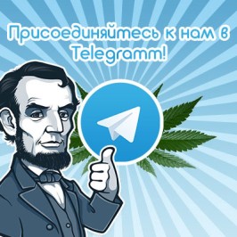 Присоединяйтесь к нам в Telegram!