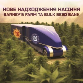 Новое поступление семян от Bulk Seed Bank и Barneys Farm!