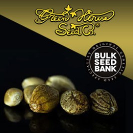 Європейська якість у Errors Seeds! Свіже насіння від Green House і Bulk Seeds!