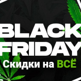 BLACK FRIDAY от Errors Seeds!