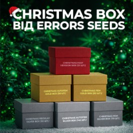 New Year's boxes from Errors Seeds: a great gift for yourself and your friends!