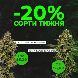 Зустрічай нові сорти тижня з Errors Seeds! 28.07.2025