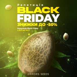 Чорна п'ятниця в Errors Seeds: Перший етап