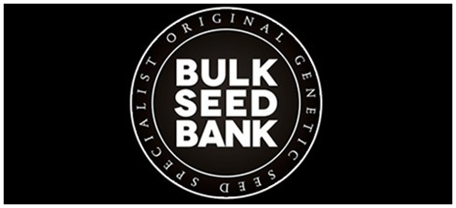 Bulk Seed Bank Feminised