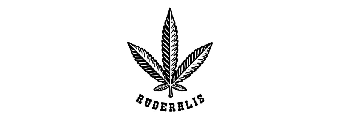 What is ruderalis?