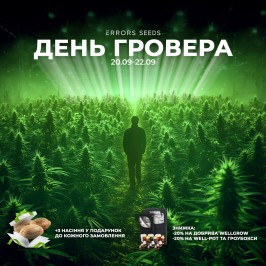 День Гровера 2024 у Errors Seeds!