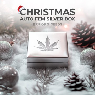 Новогодний Auto Fem Silver Box