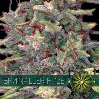 Семена конопли Brainkiller Haze Feminised