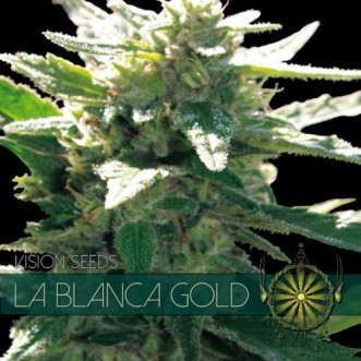 Насіння конопель La Blanca Gold Feminised