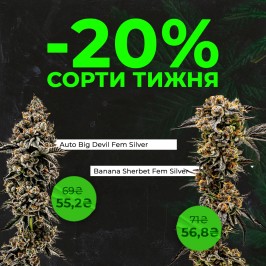 Зустрічай нові сорти тижня з Errors Seeds!