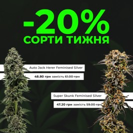 Зустрічай нові сорти тижня з Errors Seeds! 02.09.2024