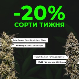 Зустрічай нові сорти тижня з Errors Seeds! 02.12.2024