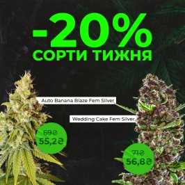 Встречай новые сорта недели с Errors Seeds! 05.05.2025