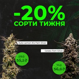 Встречай новые сорта недели с Errors Seeds! 20.01.2025