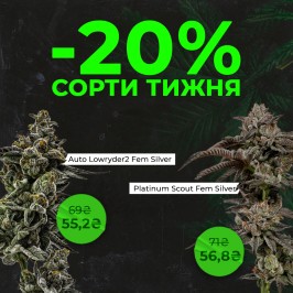 Встречай новые сорта недели с Errors Seeds! 26.05.2025