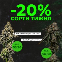 Встречай новые сорта недели с Errors Seeds! 30.06.2025