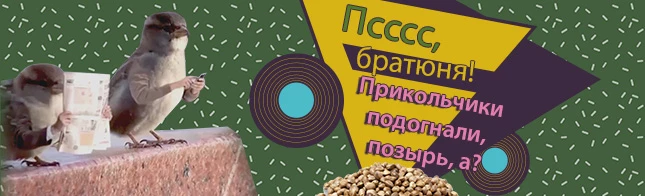 Псссс, братюня! Прикольчики подогнали, позырь, а?