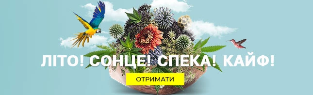 Літо! Сонце! Спека! Кайф!