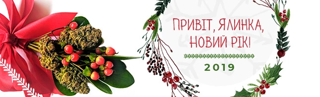 Привіт, Ялинка, Новий рік!