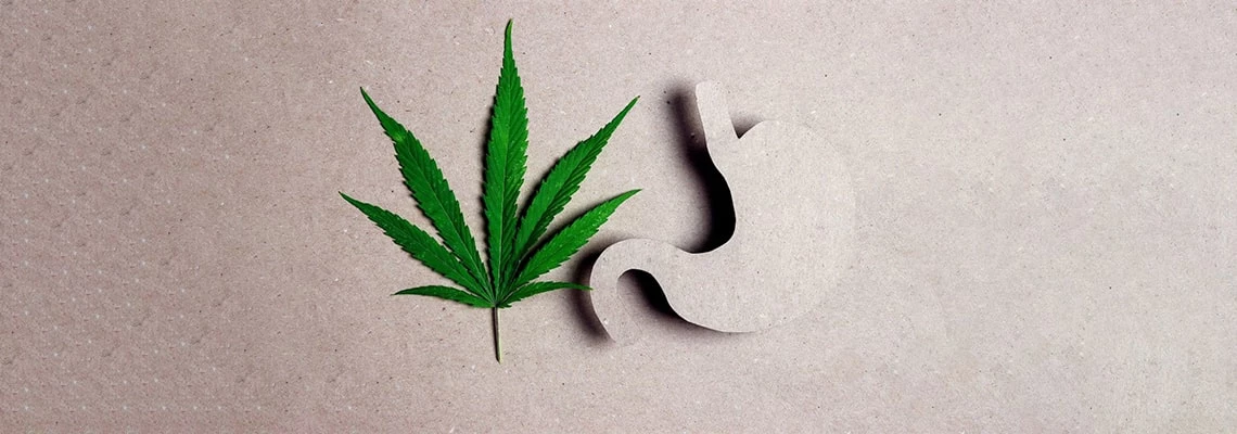 CBD oil: The key to comfortable digestion