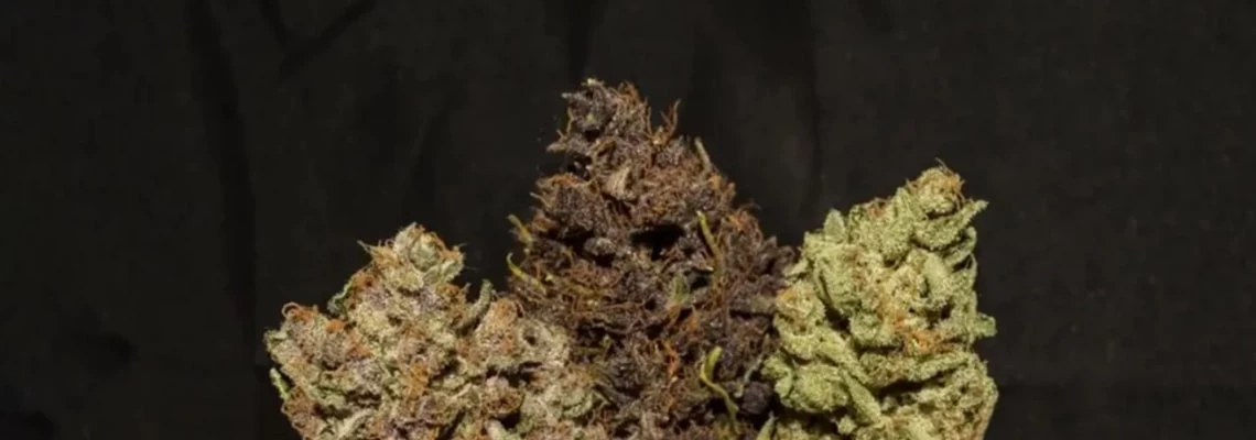 What affects the color of the bumps?