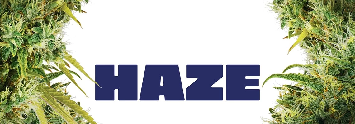 Історія генетики Haze