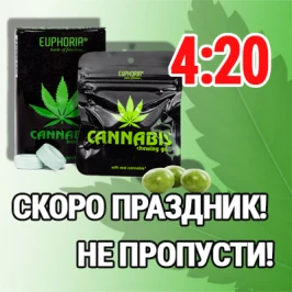Don’t miss! Holiday is coming! 