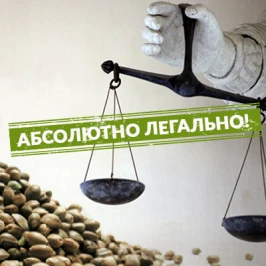 Buying and storing seeds is absolutely legal!