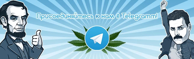 Приєднуйтесь до нас у Telegram!