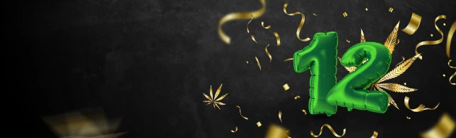 Errors Seeds исполняется 12 лет!