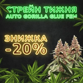 Внимание! Новый сорт недели! 03-11-2022