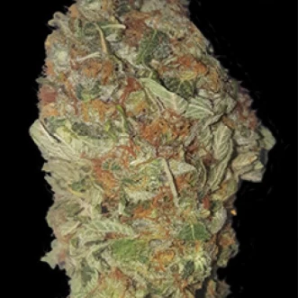 Семена конопли Green Candy Feminised