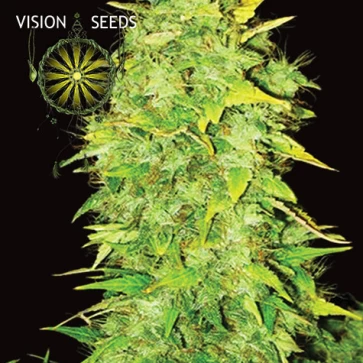 Семена конопли Auto White Widow Feminised
